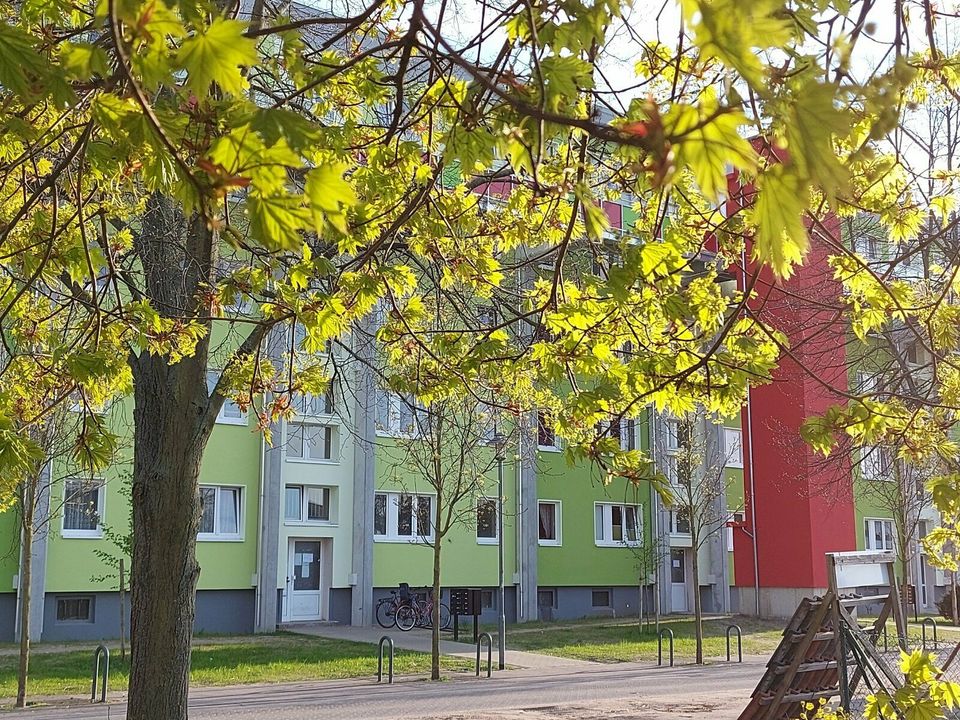 Sanierte 3-Raum-Wohnung, Friedrich-Engels-Str. 1-5 in Oebisfelde-Weferlingen