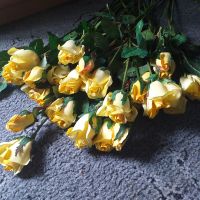 25 Rosen Baccara Seidenblumen Kunstblumen künstliche Rose Knospe Rheinland-Pfalz - Kettig Vorschau