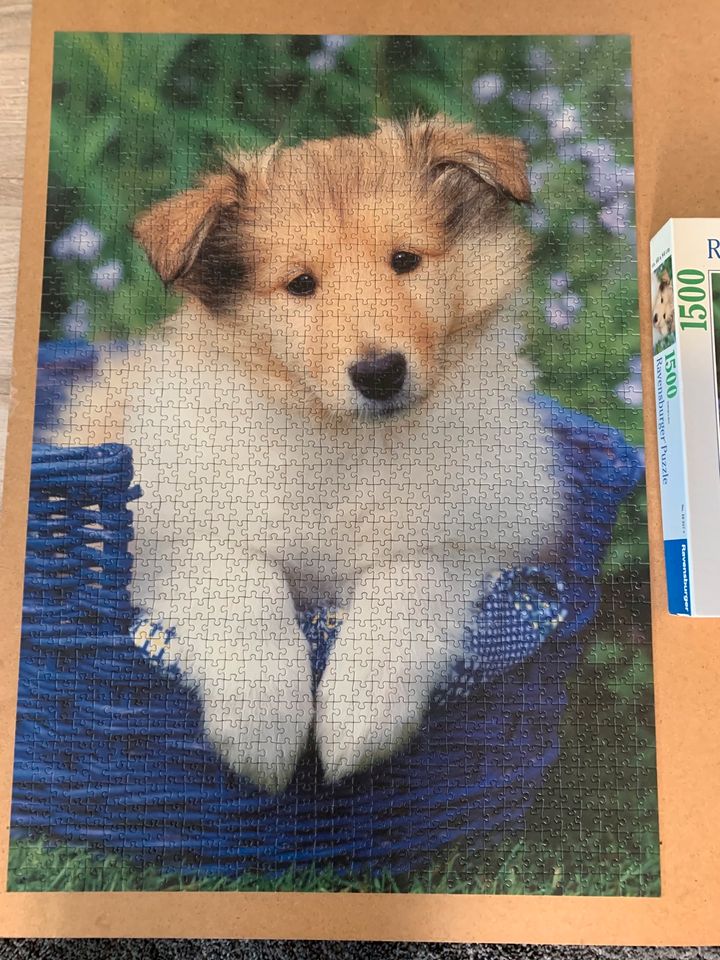 4 x Ravensburger Puzzle je 1500 Teile in Bad Münstereifel