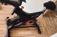 Miweba Sports Profi Indoor Cycle MS500, 25 kg Schwungrad Brandenburg - Potsdam Vorschau