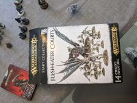 Start Collecting Flesheater-Courts (FEC) Tabletop AoS Armee GW Hessen - Kassel Vorschau