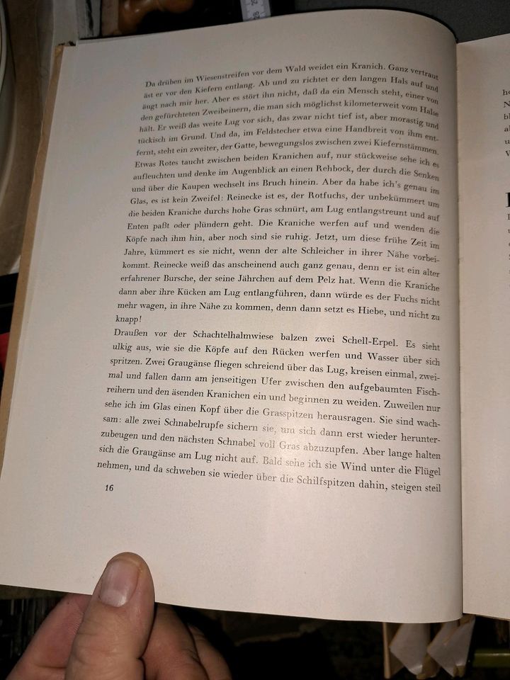 DDR Helmut Drechsler Die Kraniche vom weißen Lug Radebeul Berlin in Berlin