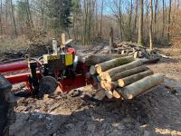 Lohnspalten, Holz spalten, Brennholz aufarbeiten mit 25 Tonnen Baden-Württemberg - Bad Rappenau Vorschau