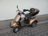 Econelo J4000 Elektromobil Vierradroller/Quad Gold Neuwertig Bayern - Goldkronach Vorschau