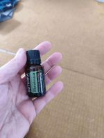 DoTerra Melaleuca Teebaum Öl ätherische Öle neu 15ml Brandenburg - Senftenberg Vorschau