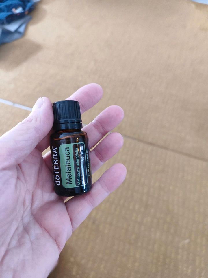 DoTerra Melaleuca Teebaum Öl ätherische Öle neu 15ml in Senftenberg