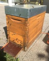 Bienenableger auf Dadant Baden-Württemberg - Öhringen Vorschau