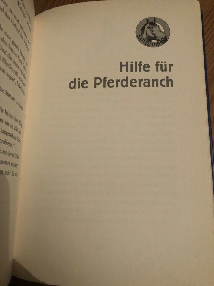 Pferdebuch * Ravensburger * Pferde, Ponys, Sommerträume * Bryant in Pfaffen-Schwabenheim