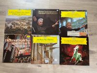 Set mit 28 alten Schallplatten, klassische Musik & Tierdokus Hessen - Mörfelden-Walldorf Vorschau