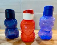 Tupperware Trinkflaschen-Set Nordwestmecklenburg - Landkreis - Grevesmuehlen Vorschau