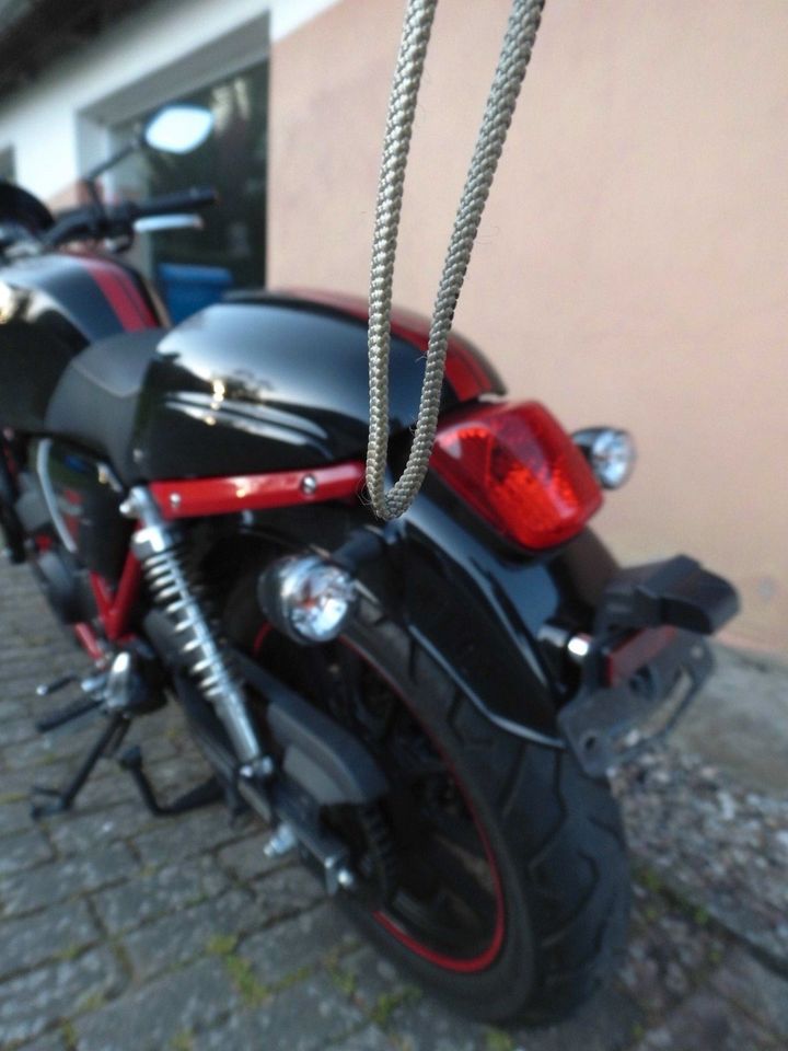 SYM Wolf 300iABS Cafe - Racver in Rostock
