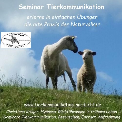 Einstieg in die Tierkommunikation - Seminar am 1./2. Juni in Elmshorn