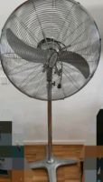 Ventilator, Windmaschine Saarland - Wadgassen Vorschau