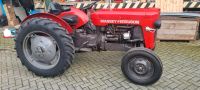 Mf25 Massey Ferguson Oltimer Niedersachsen - Alfhausen Vorschau