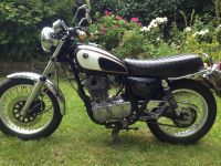 Yamaha SR 500 48 T Essen - Essen-Werden Vorschau