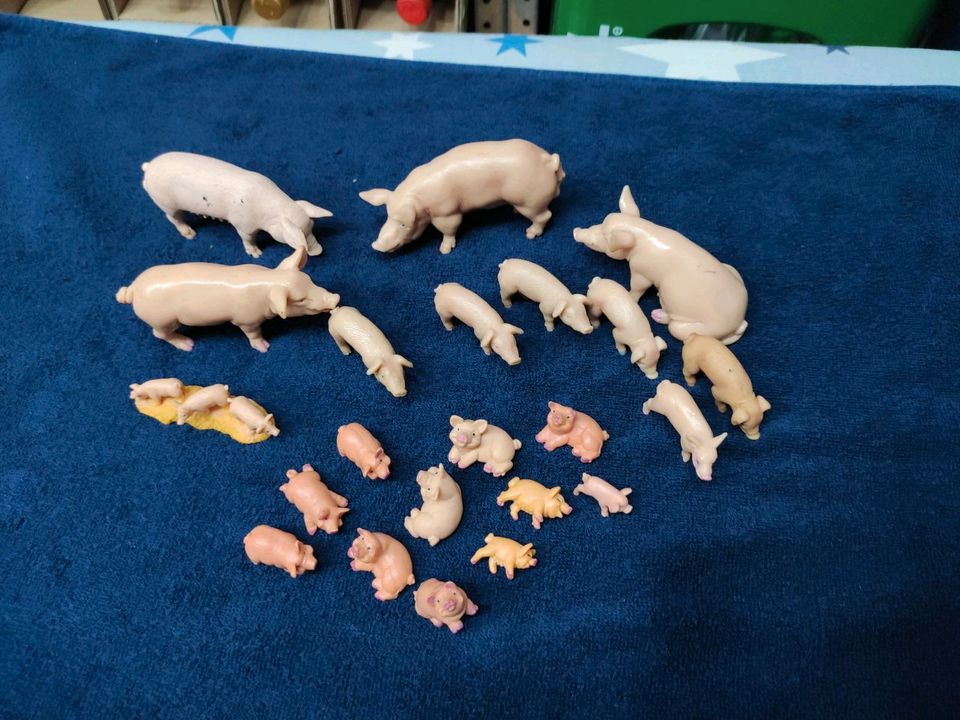 Schleich Schweinefamilie Schweine in Köln