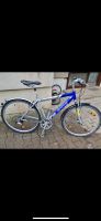 Blaues Fahrrad für Teenager Stuttgart - Vaihingen Vorschau