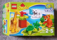 Lego Duplo 10801 Jungtiere, original verpackt Nordrhein-Westfalen - Recklinghausen Vorschau