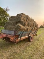 Heuballen,HD ballen (Pferde, Schafe,Ziegen,Kühe, usw.) Baden-Württemberg - Dettingen an der Erms Vorschau