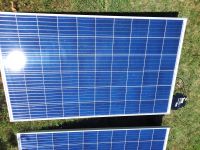 1 PV Modul Trina Solar 270Wp poly Niedersachsen - Drebber Vorschau