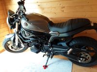 BENELLI LEONCINO  800 5200 km Nordrhein-Westfalen - Fröndenberg (Ruhr) Vorschau