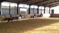 Reitunterricht für Anfänger / Fortgeschr. bis 75 kg in Reitschule Niedersachsen - Glandorf Vorschau