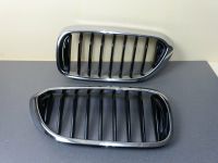 Original BMW G30  G31 M  Ziergitter Front rechts und links Rheinland-Pfalz - Koblenz Vorschau