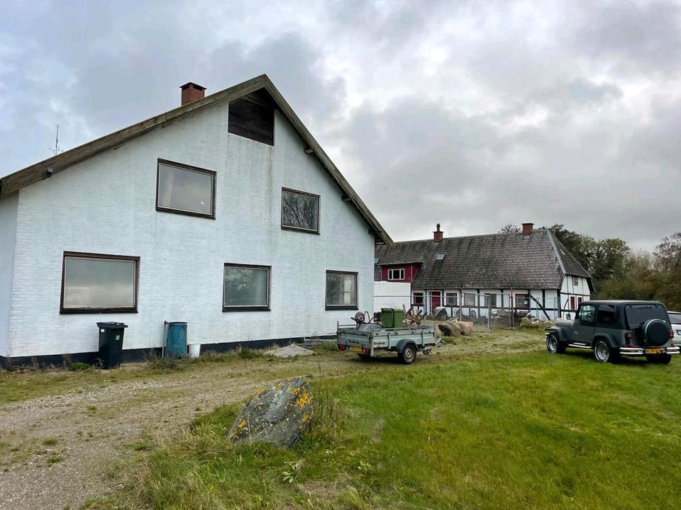 Großer Hof in Dänemark/Auswandern/Handwerkerwohnung/Resthof in Flintbek