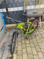 Cube MTB 29 Zoll Hessen - Flörsheim am Main Vorschau