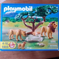 Playmobil 5903 - Löwenfamilie vollständig Düsseldorf - Pempelfort Vorschau