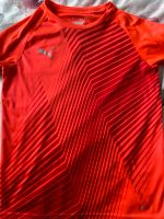 Puma Trokot Fussballshirt Ge.140 Hannover - Herrenhausen-Stöcken Vorschau