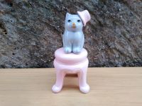 Tolle Graue Katze mit Hut in Pink auf Pinkfarbenem Hocker Miau Baden-Württemberg - Ispringen Vorschau