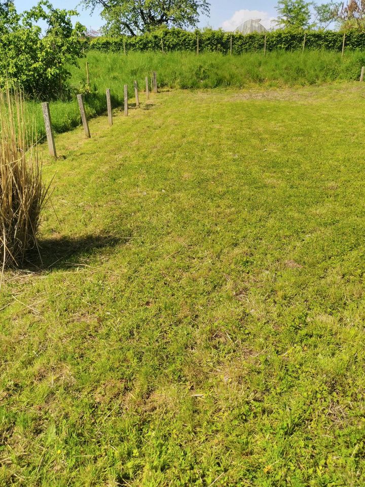 Mäharbeiten, Hochgrasmähen, Landschaftspflege, Grünflächenpflege in Reiskirchen