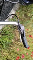 Fahrrad, Damenfahrrad Sursee alpin, 28 Zoll, rot-schwarz,12 Gänge Niedersachsen - Braunschweig Vorschau