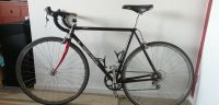 Rennrad Koga Miyata FullProLux RH54 Kreis Pinneberg - Schenefeld Vorschau