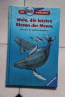 Ravensburger Wissensbuch für Kinder: Wale Niedersachsen - Diepenau Vorschau