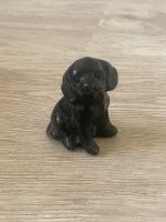 Obsidian Hund Nordrhein-Westfalen - Stolberg (Rhld) Vorschau