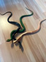 Schlangen aus Gummi bzw Holz Kreis Pinneberg - Quickborn Vorschau