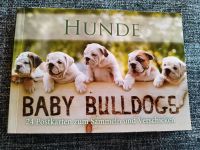 Baby Bulldogs Postkartenbuch, neu ❤️ Hessen - Ehringshausen Vorschau