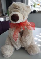 Teddy sucht neues Zuhause ca. 48cm Nordrhein-Westfalen - Mülheim (Ruhr) Vorschau