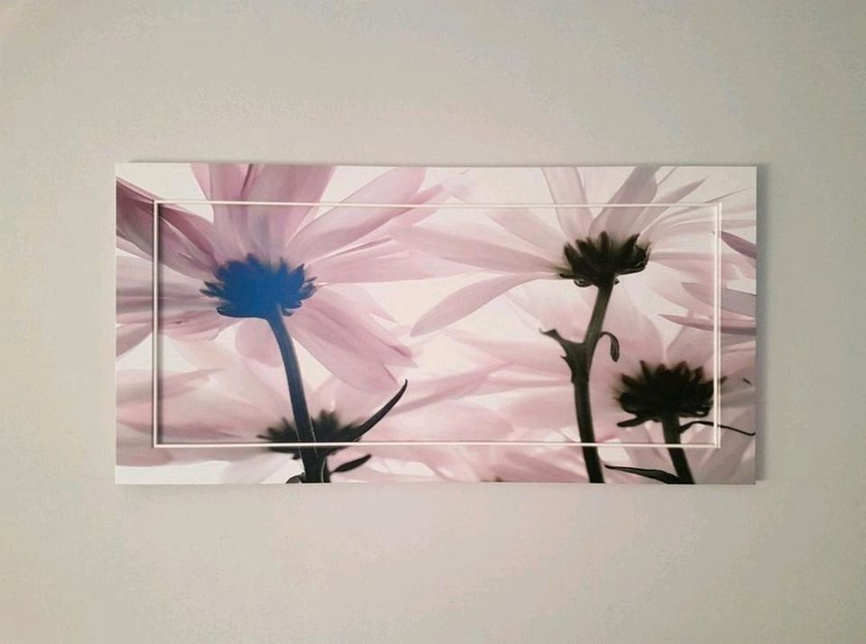 Wandbild Leinwandbild 120 x 60 cm Blumen in Hartmannsdorf bei Eisenberg