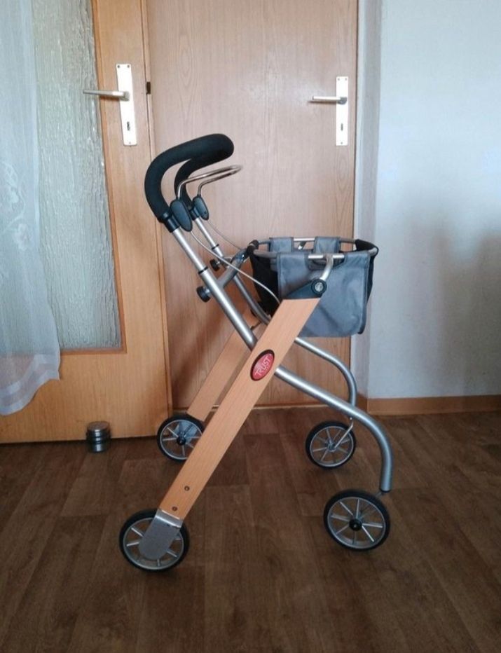 Indoor Rollator in Magdeburg