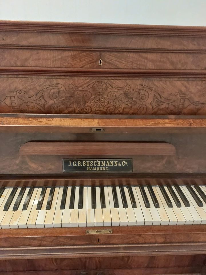 Klavier Buschmann Hamburg in Battenberg