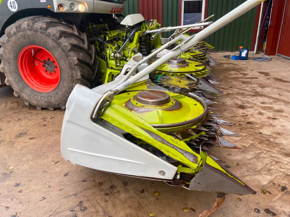 Claas orbis 750 Maisgebiss in Habscheid