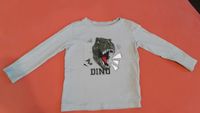 Dinosaurier Langarmshirt Größe 98 Rheinland-Pfalz - Dolgesheim Vorschau