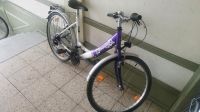 Fahrrad 26" Zoll 18 gang Hessen - Wiesbaden Vorschau