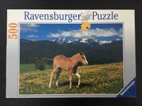 Ravensburger Puzzle 500 Teile „Fohlen auf der Weide“, Pferd Nordrhein-Westfalen - Lengerich Vorschau