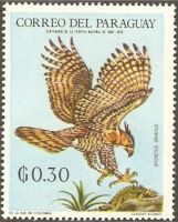 Paraguay 1933° Fauna Tiere Greifvögel Raubvögel Prachthaubenadler Nordrhein-Westfalen - Kamen Vorschau