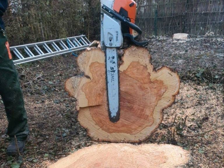 Baumfällung, Stumpf/Hecke/Baum fällen / entfernen, Heckenschnitt in Bruckberg bei Landshut