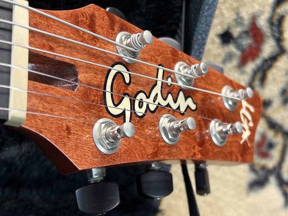 1996 Godin - LGX - ID 3821 in Emmering